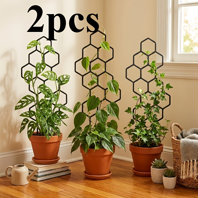 Vine Climbing Plastic - Dos dispositivos de entrenamiento para plantas
