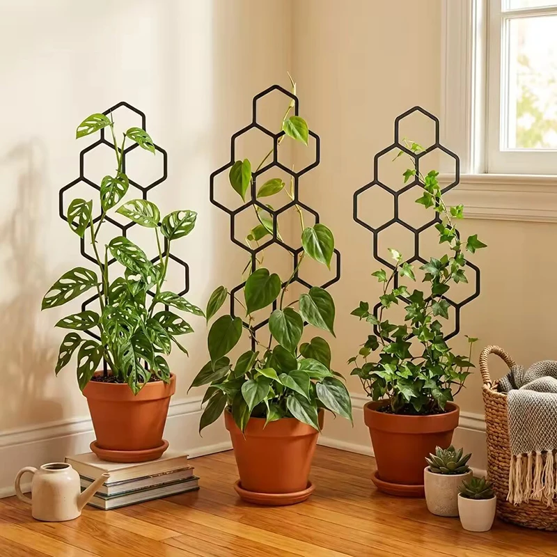 Vine Climbing Plastic - 2/4 Piezas de Soporte de Plástico