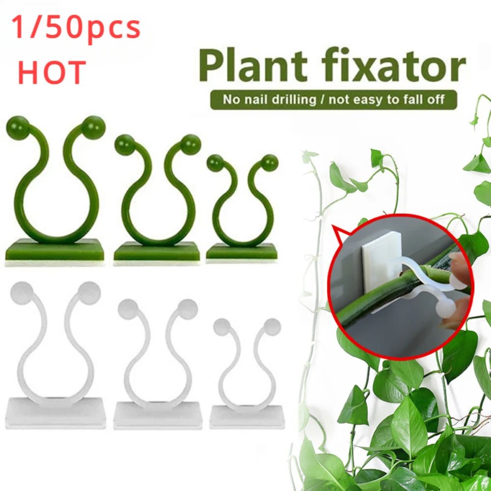 Vine Climbing Plastic - Accesorios para jardín, macetas y jardineras