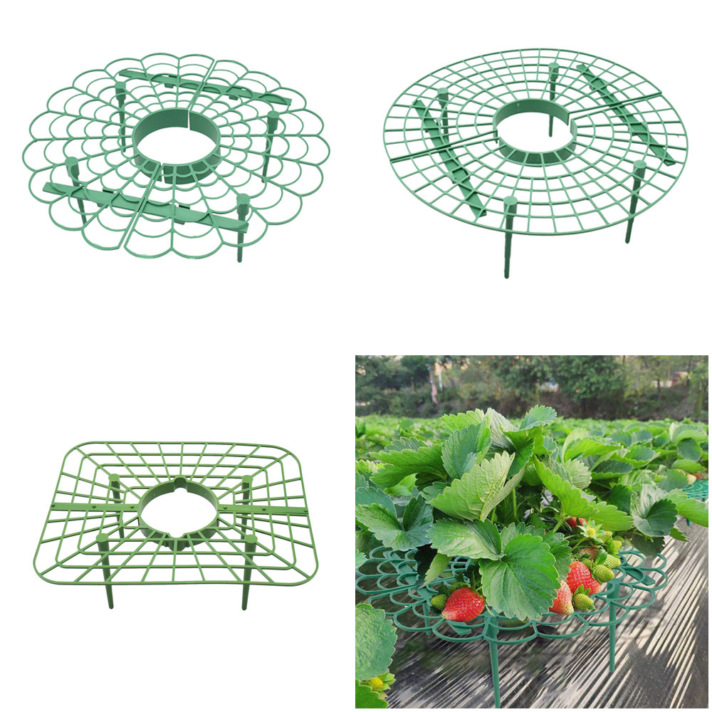 Soporte de marco para fresa, e - Vine Climbing Plastic reseña y precio