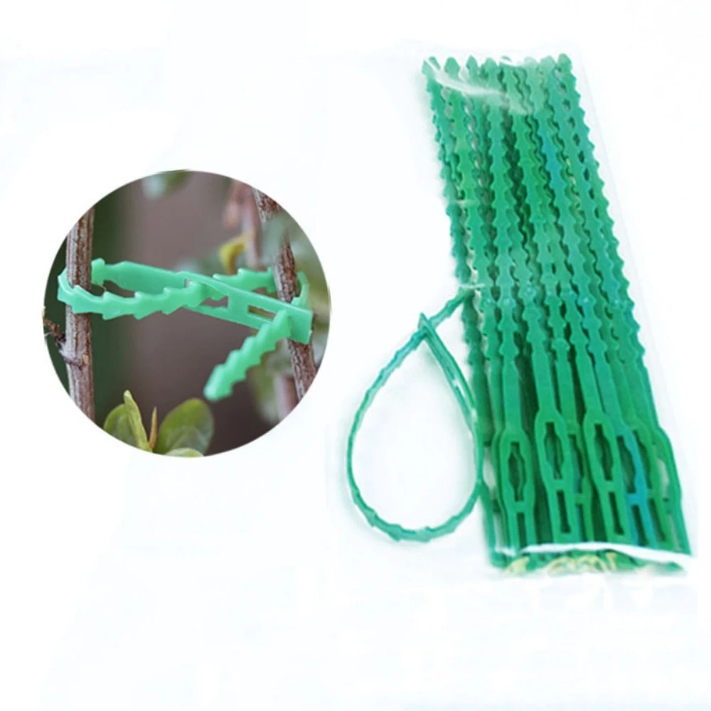 50 unidades de sujetadores de  - Vine Climbing Plastic reseña y precio
