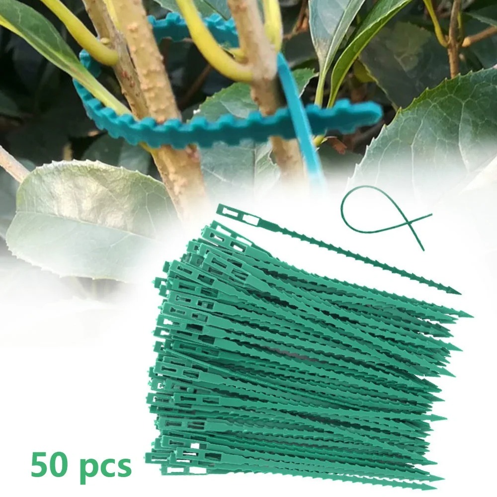 50 unidades de sujetadores de  - Vine Climbing Plastic reseña y precio