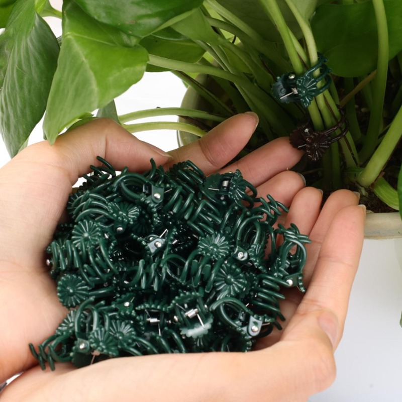 Clips de Soporte para Plantas  - Vine Climbing Plastic reseña y precio