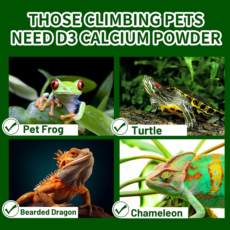 Polvo de calcio con vitamina D - Calcium Powder Reptile reseña y precio
