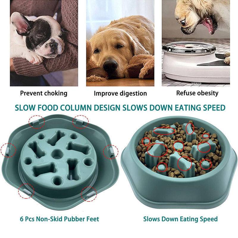 Comedero lento para perros, cu - Royal Canin Food Medium reseña y precio