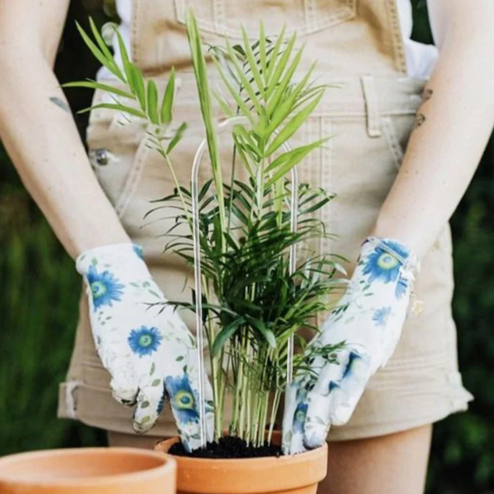 Soporte de acrílico en forma d - Vine Climbing Plastic reseña y precio